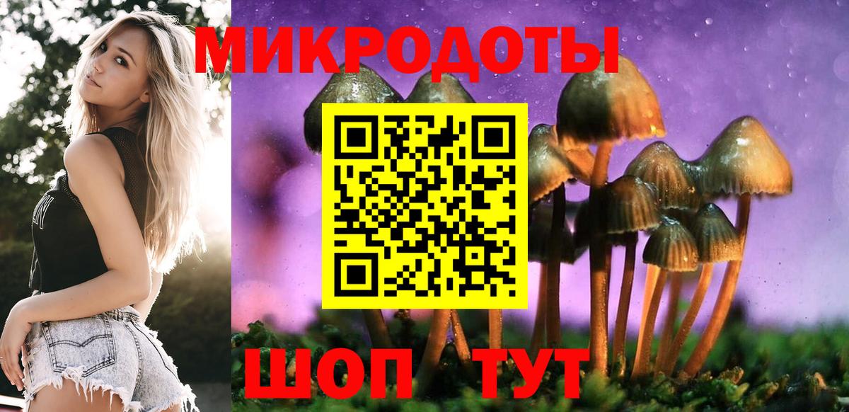Псилоцибиновые грибы мухоморы Нерюнгри