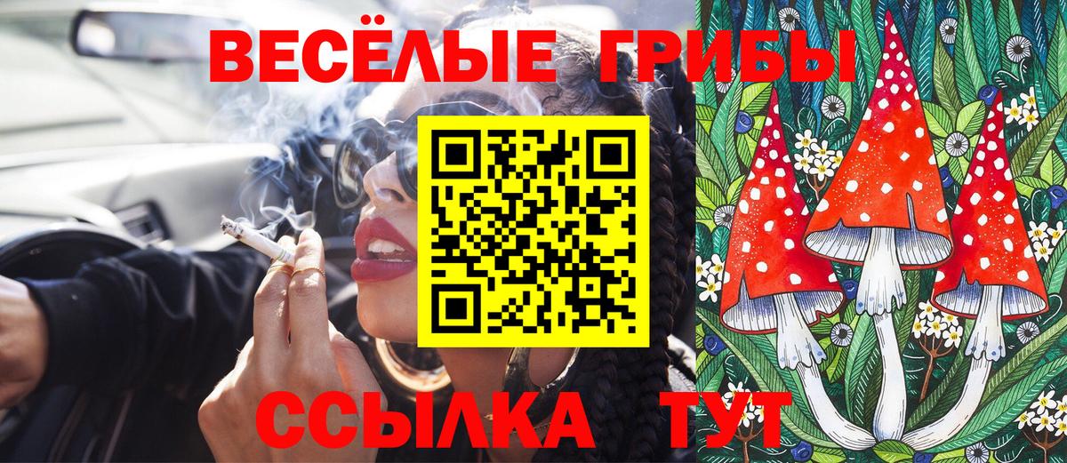 закладки  Вход с VPN  Нерюнгри  Псилоцибиновые грибы прущие грибы  Псилоцибиновые грибы мицелий 